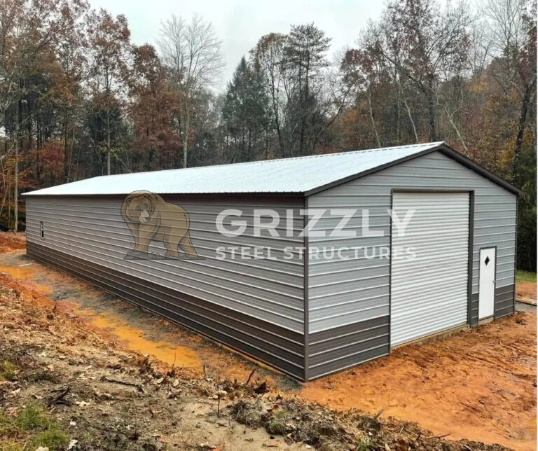 Read more about the article 30×60 Vertical Roof Style